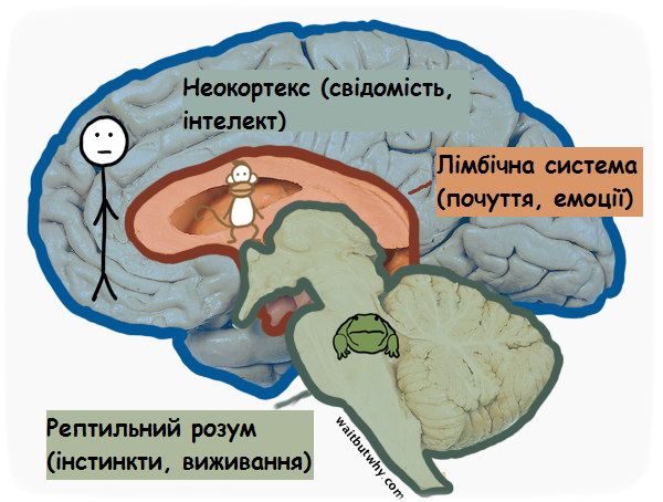 Про інстинкти