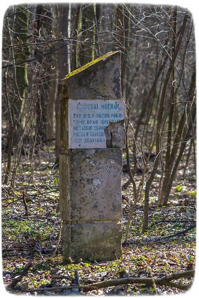 Скіфське городище Холодного яру