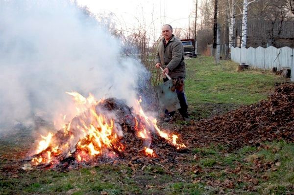 Спалювання листя