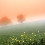 Intermezzo Лариса Журенкова — сучасна українська поезія