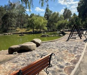 Екологічне покриття з дерев’яних плашок у Сосновому бору Черкас